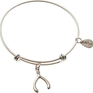 Bella Ryann Wishbone Adjustable Expandable Silvertone Wire Bangle Bracelet